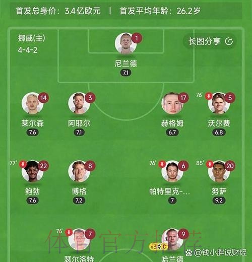 本届世界杯荷兰哈兰德比赛解读全面分析